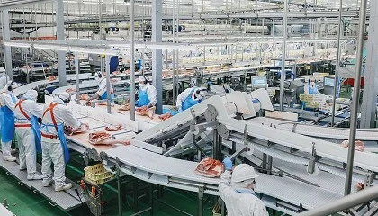 Foto de Incarlopsa prevé una facturación de 1.263 millones en 2025 y un aumento del EBITDA del 11%