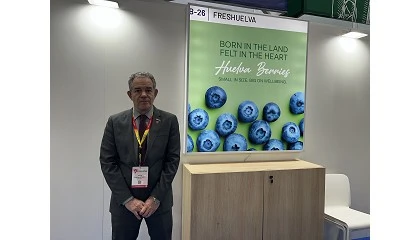 Foto de Entrevista a Rafael Domínguez, gerente de Freshuelva