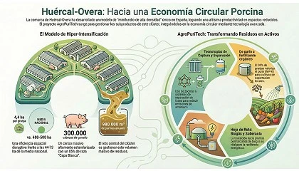 Foto de La intensificaci�n porcina y su transici�n hacia la econom�a circular