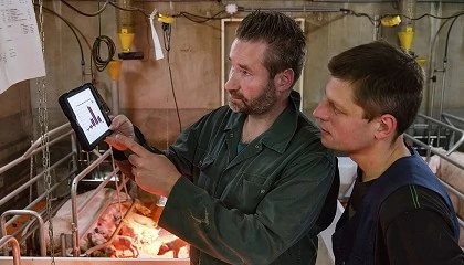 Foto de Las mejores granjas usan el Benchmarking de otra manera