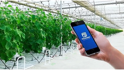 Foto de Novagric confirma su participaci�n en la Jornada T�cnica de Subtropicales 2026