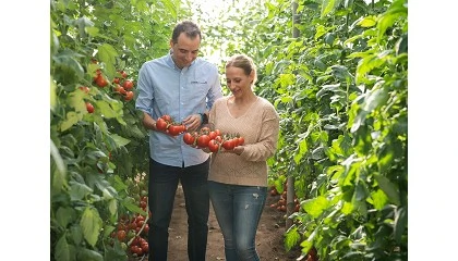 Foto de BASF | Nunhems acerca su genética en tomate a las principales zonas productoras