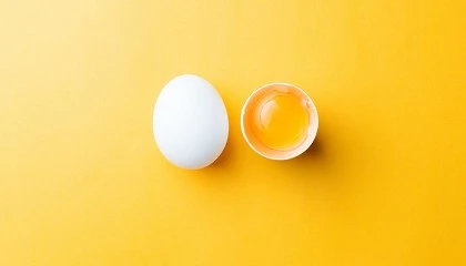 Foto de Onego Bio e Sigma Foods testam prote�na de ovo n�o animal