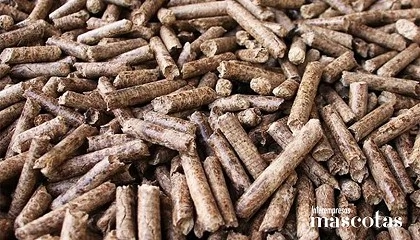 Foto de Dapibus Frass: fertilización orgánica a partir de biotransformación con larvas de mosca Black Soldier Fly