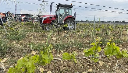 Foto de La guerra en Ir�n dispara el precio del gas�leo y eleva los costes del campo espa�ol