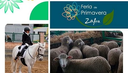 Foto de La Feria de Primavera de Zafra reunir� a m�s de 600 animales de razas ovinas