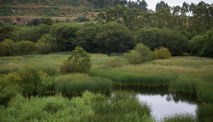 Foto de Aminer alcanza las 90 entidades asociadas con la incorporación de Cobre San Rafael