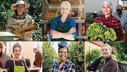 Foto de Comiss�o lan�a plataforma �Mulheres na Agricultura�