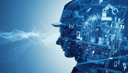 Foto de Cómo reforzar el cumplimiento de la normativa en materia de SST mediante inspecciones de trabajo y servicios de prevención