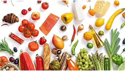 Foto de Webinar europeu debate prote��o da seguran�a alimentar face a fraude, ciberamea�as e riscos QBR