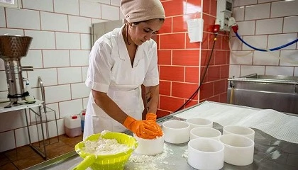 Foto de Cabra Palmera felicita a Brenda Rodríguez por su propuesta como Premio Insular de La Palma 2026