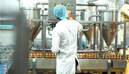 Foto de APPCC, auditor�as y mantenimiento: el papel de la inteligencia artificial en plantas alimentarias modernas