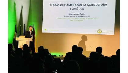 Foto de La Junta de Andaluc�a participar� en la Jornada T�cnica de Subtropicales 2026