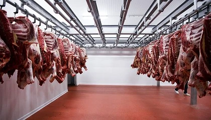 Foto de Espa�a prepara a sus empresas para la aplicaci�n en abril o mayo del acuerdo UE-Mercosur