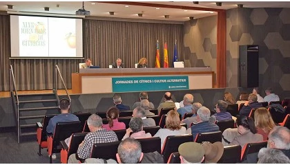 Foto de Incorporar nuevas tecnolog�as, ajuste estructural y optimizar el control de plagas, desaf�os del sector citr�cola