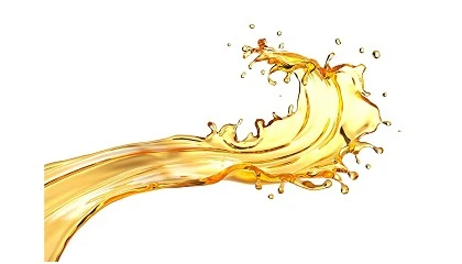 Foto de EcoTrama celebra 25 a�os como concurso internacional de referencia para el AOVE ecol�gico