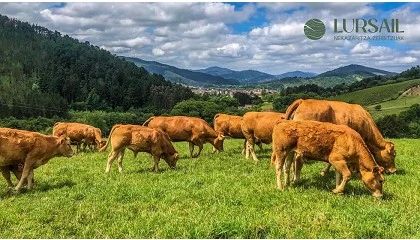 Foto de LURSAIL inicia su actividad como centro de asesoramiento para el sector agrario vasco