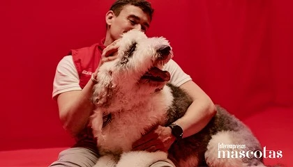 Foto de Generali ofrece consejos de expertos y soluciones para el bienestar de las mascotas