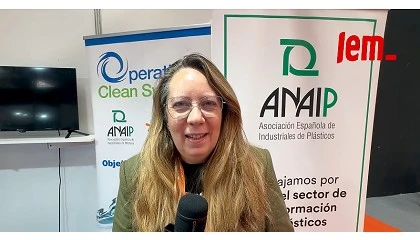 Foto de V�deo: Entrevista a M� Carmen del Amo, directora de Comunicaci�n y Marketing de Anaip