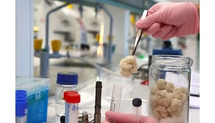 Foto de Biosysmo: biotecnología avanzada para limpiar suelos y aguas en Europa