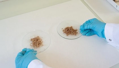 Foto de Las innovaciones de Leitat que marcarán el futuro de la alimentación