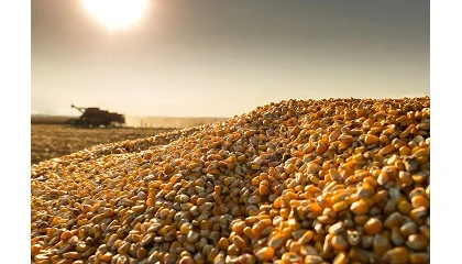 Foto de El IGC advierte del impacto de la guerra en las cadenas de suministro agrícolas
