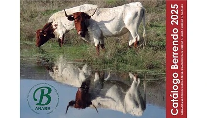 Foto de El cat�logo de sementales impulsa la conservaci�n de las razas Berrendas en sistemas extensivos