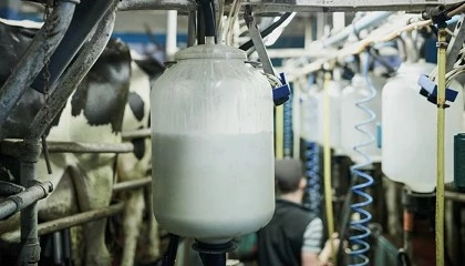 Foto de Produtores de leite enfrentam aumento dos custos e falta de apoio ao investimento