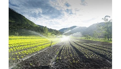 Foto de Expertos del IAS-CSIC diseñan un sistema de control de riego asequible y manejable para cualquier explotación