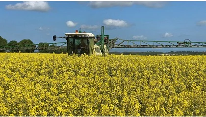 Foto de Ecoculture bate nuevos récords que duplican los rendimientos medios de producción de los cultivos