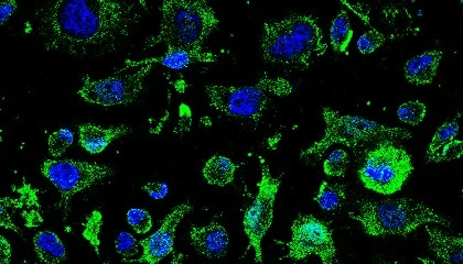 Foto de La AEMPS autoriza el ensayo cl�nico del f�rmaco AP-2 contra la ELA