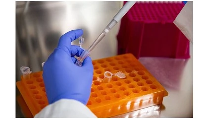 Foto de Instituto Pedro Nunes disponibiliza diagn�stico especializado para proteger a vinha