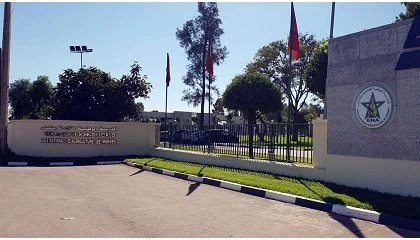 Foto de Soil O-Live avanza en Marruecos en la aplicación práctica de soluciones para mejorar los suelos del olivar