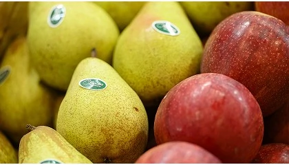 Foto de Portugal Fresh leva a qualidade da fruta portuguesa ao Brasil