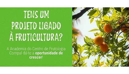 Foto de Academia do Centro de Frutologia Compal abre candidaturas para 2026