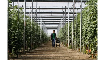 Foto de COAG reclama m�s ayudas al Gobierno ante el encarecimiento de los pl�sticos y para el gas�leo en apicultura