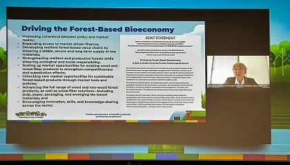 Foto de Bosques y productos de la madera: un motor estratégico para la bioeconomía europea, según CEI-Bois y EOS