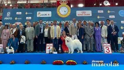 Foto de Valladolid reunirá a los mejores perros de España y Europa en el gran evento canino de esta primavera