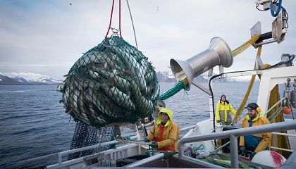 Foto de El bacalao Skrei se afianza en Espa�a con una campa�a marcada por la calidad y la temporalidad