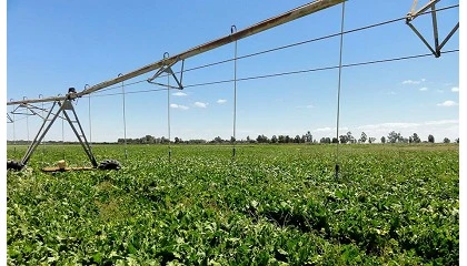 Foto de Andaluc�a apuesta por el regad�o como factor clave en la competitividad del sector agrario