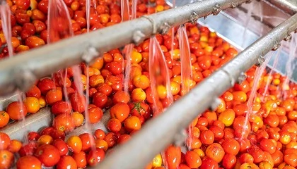 Foto de La nueva normativa europea obliga a repensar el agua en alimentaci�n