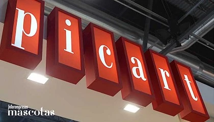 Foto de Picart crece con solidez y alcanza los 17 M� de facturaci�n en 2025