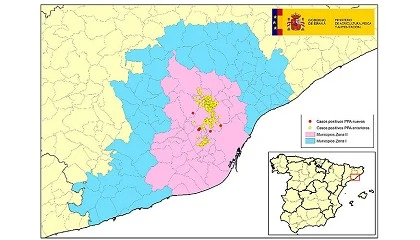 Foto de La peste porcina africana suma nuevos positivos sin salir de la zona de contenci�n