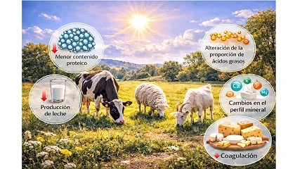 Foto de Impacto del cambio climático en la composición y propiedades tecnológicas de la leche