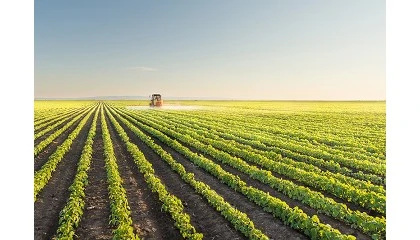 Foto de Abierta una nueva convocatoria del Premio Jos� Casc�n de innovaci�n en ingenier�a agron�mica