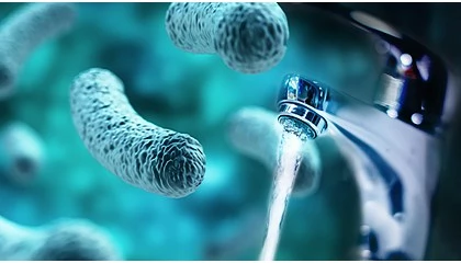 Foto de Instituto de Forma��o Vulcano anuncia curso sobre 'Legionella: Preven��o e Combate'