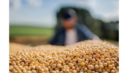 Foto de El agro argentino eval�a la subida de costes en el inicio de la cosecha de soja