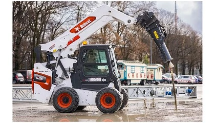 Foto de 'Grande felino' Bobcat que funciona na perfei��o para o Circus Krone