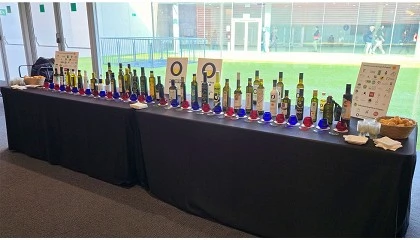 Foto de Las DOP e IGP del aceite de oliva, eje del modelo de calidad espa�ol en la Cumbre Alimentaria de Barcelona