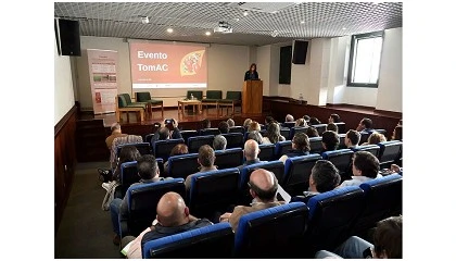 Foto de TomAC valida agricultura de conserva��o para aumentar produtividade do tomate para ind�stria